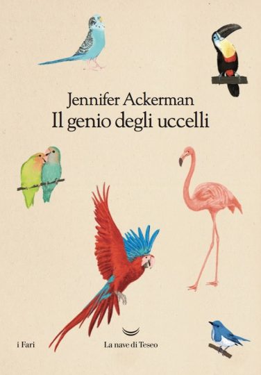 Letture d'estate: libri di viaggio. Jennifer Ackerman, Il genio degli uccelli, La nave di Teseo