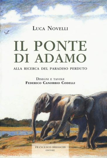 Letture d'estate: libri di viaggio. Luca Novelli, Il ponte di Adamo, Francesco Brioschi Editore