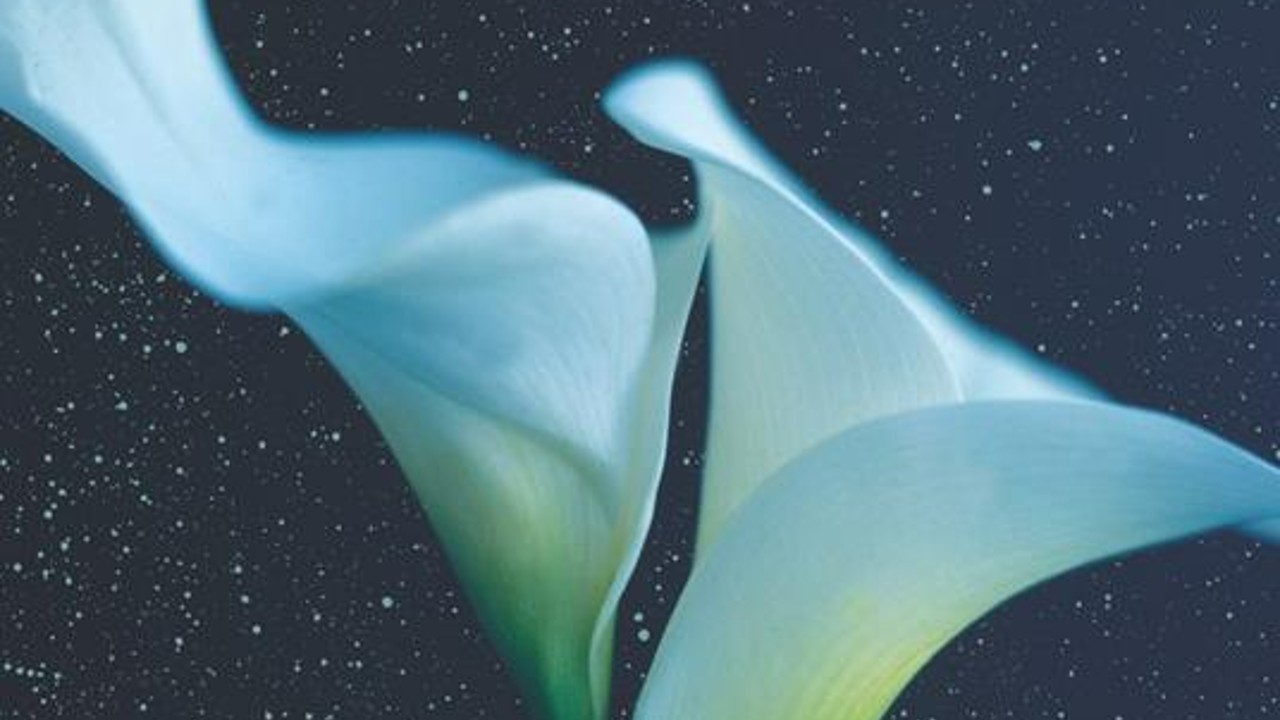 La Notte Il Sonno La Morte E Le Stelle PDE Joyce Oates Nuovo Romanzo